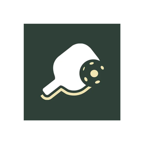 JustPaddles brand logo for justpaddles.com