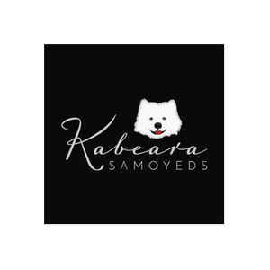 Kabeara Samoyeds brand logo for kabearasamoyeds.com