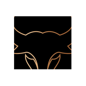 Kai Wagyu brand logo for kaiwagyu.com