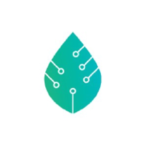 Kalamint brand logo for kalamint.io