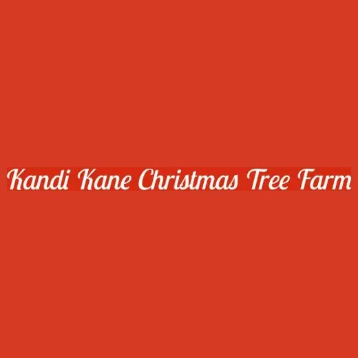 kandikanetrees brand logo for kandikanetrees.com