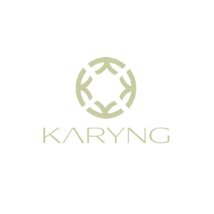 Karyn brand logo for karyng.com