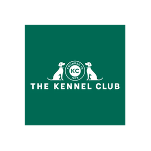 KC Insurance brand logo for kcinsurance.co.uk
