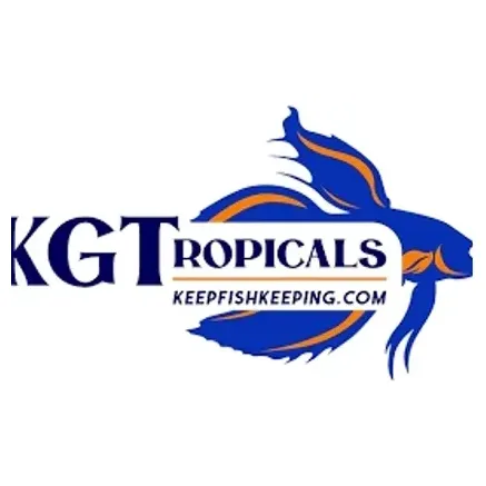 keepfishkeeping brand logo for keepfishkeeping.com