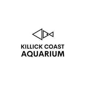 Killick Coast brand logo for killickcoast.ca