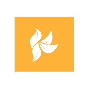 Kimi Naturals brand logo for kiminaturals.com