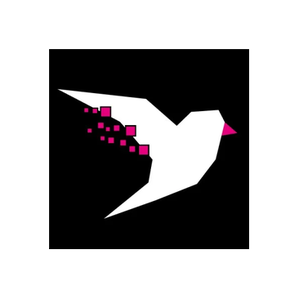 Kineo brand logo for kineo.com