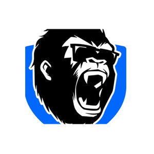 King Kong Fitness brand logo for kingkongfitness.com.au