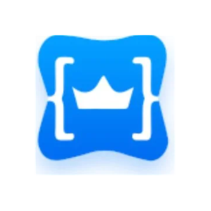 King Servers brand logo for king-servers.com