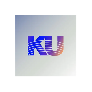 King Underground brand logo for kingunderground.com
