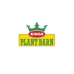 Kings brand logo for kings.co.nz