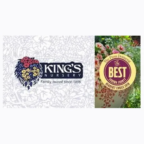 kingsflowernursery brand logo for kingsflowernursery.com