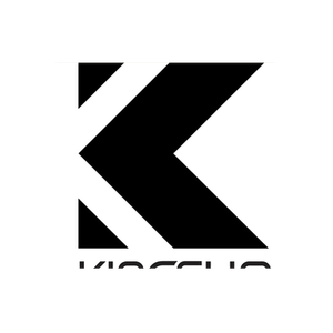 KingSlim brand logo for kingslim.net