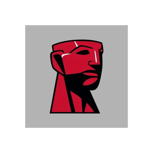 Kingston brand logo for kingston.com