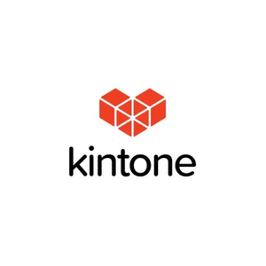 Kintone brand logo for kintone.com