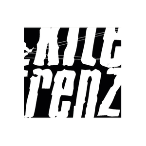 Kite Frenzy brand logo for kitefrenzy.com