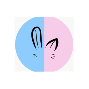 Kitt & Bunn brand logo for kittandbunnsupply.co