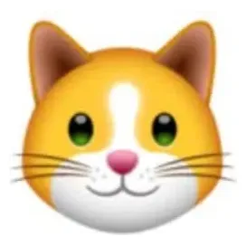 kitten brand logo for kitten.finance