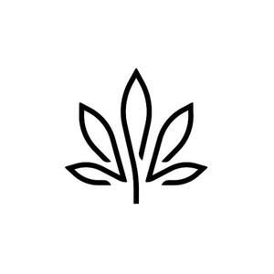Kiva Confections brand logo for kivaconfections.com