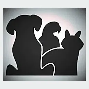 klok9 brand logo for klok9.com