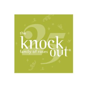 Knock Out Roses brand logo for knockoutroses.com