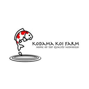 Kodama Koi Farm brand logo for kodamakoifarm.com