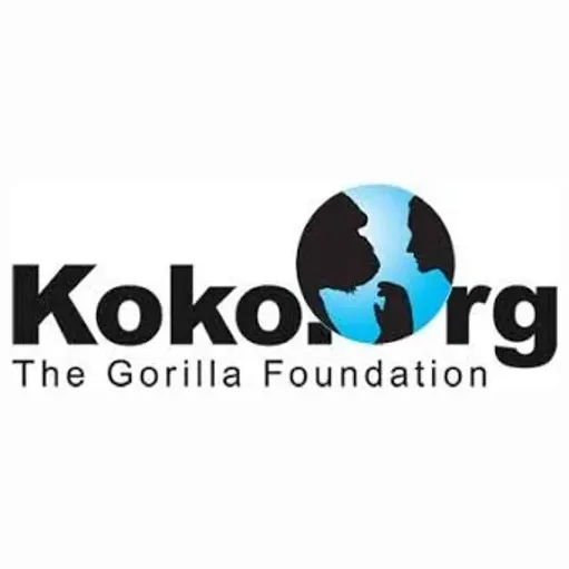 koko brand logo for koko.org