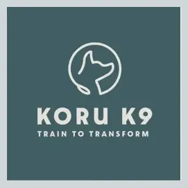 koruk9 brand logo for koruk9.com