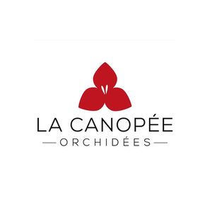 La Canopée brand logo for lacanopee.com