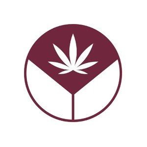 Ladykind brand logo for ladykind.com