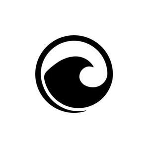 LAKESURF brand logo for lakesurf.com