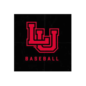 Lamar Cardinals brand logo for lamarcardinals.com