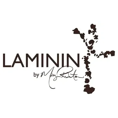 laminindesigns brand logo for laminindesigns.com