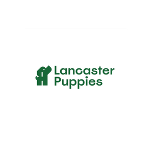 Lancaster Puppies brand logo for lancasterpuppies.com