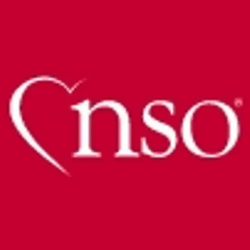 landing brand logo for landing.nso