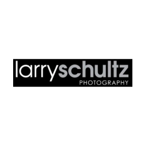 larryschultz brand logo for larryschultz.com