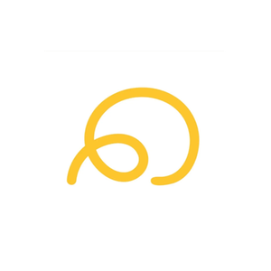 Lasso brand logo for lasso.io