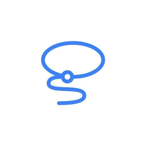 Lasso Moderation brand logo for lassomoderation.com