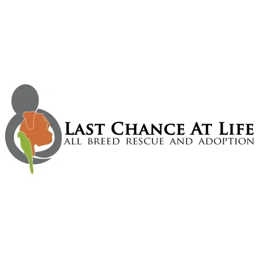 Last Chance at Life brand logo for lastchanceatlife.org