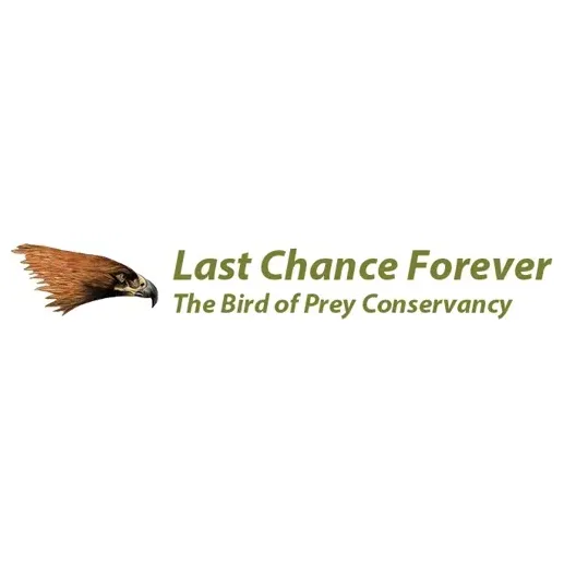 Last Chance Forever brand logo for lastchanceforever.org