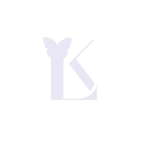 Lauren Kenzie brand logo for laurenkenzie.com