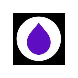 Layer AI brand logo for layer.ai