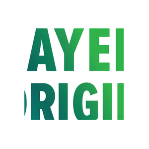 Layer Origin brand logo for layerorigin.com