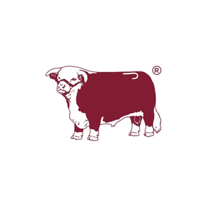 Lazy J brand logo for lazyjranchwear.com
