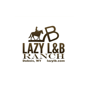 Lazy LB brand logo for lazylb.com
