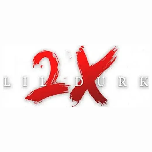 ld2x brand logo for ld2x.com