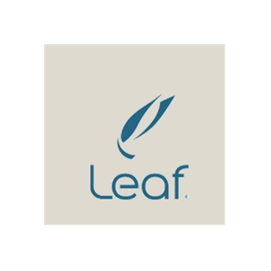 Leaf Software Solutions brand logo for leafsoftwaresolutions.com