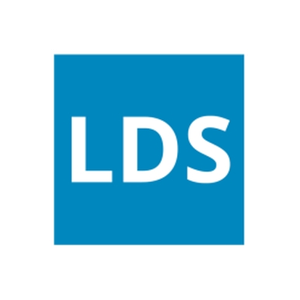 Lean Domain Search brand logo for leandomainsearch.com