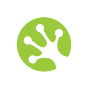 Leap Out Digital brand logo for leapoutdigital.com