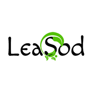 leasod brand logo for leasod.com